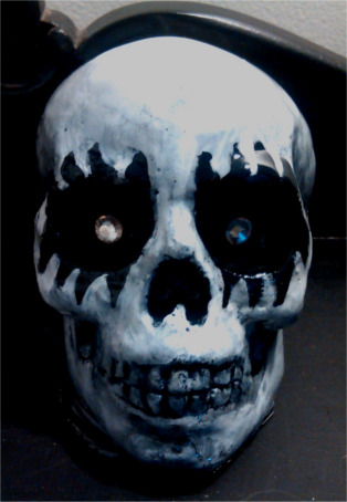 alice cooper skull